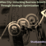 SEO Miles City